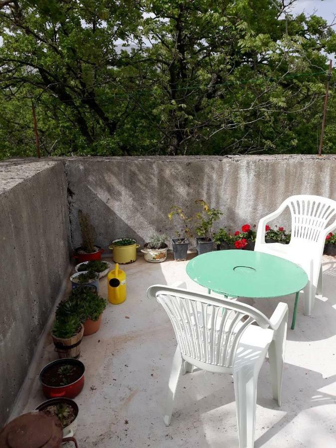 Apartman Milica Golubic  Екстер'єр фото