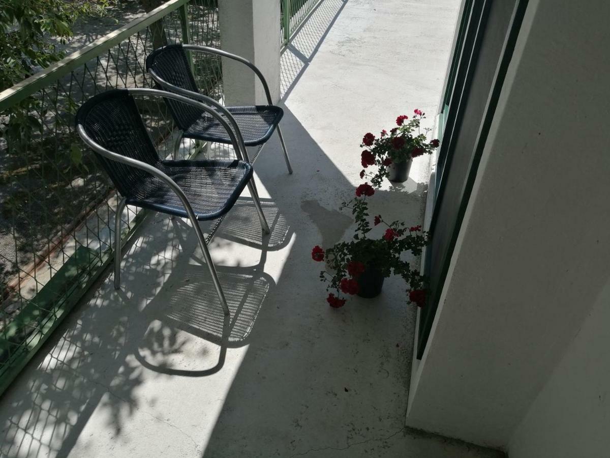 Apartman Milica Golubic  Екстер'єр фото